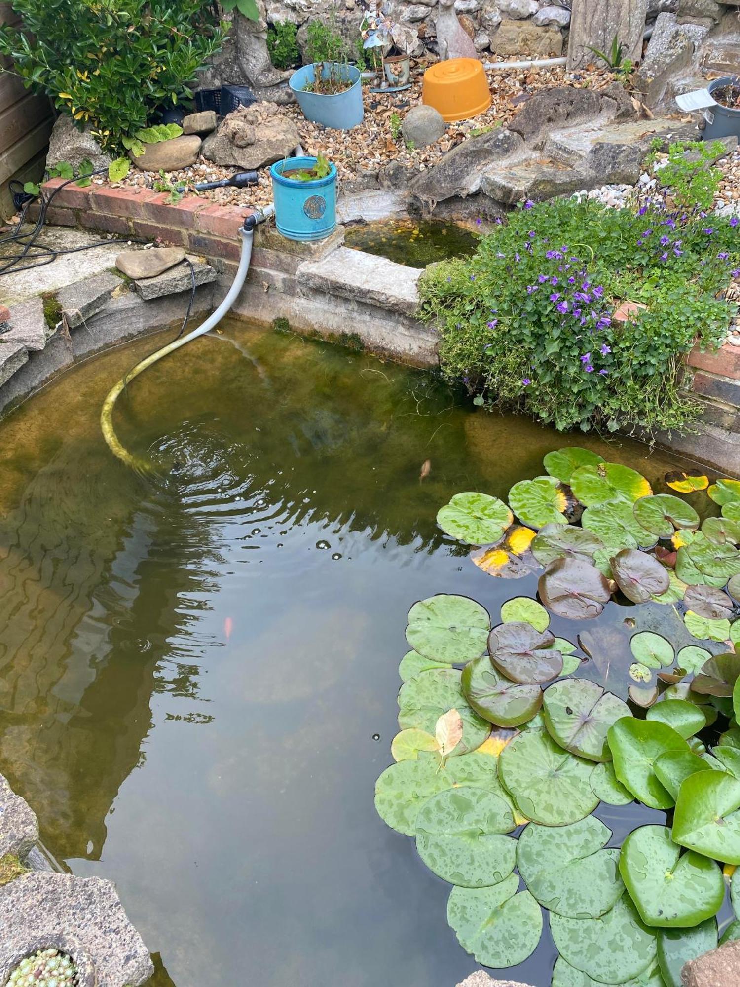 Pond Cottage Purley Dış mekan fotoğraf
