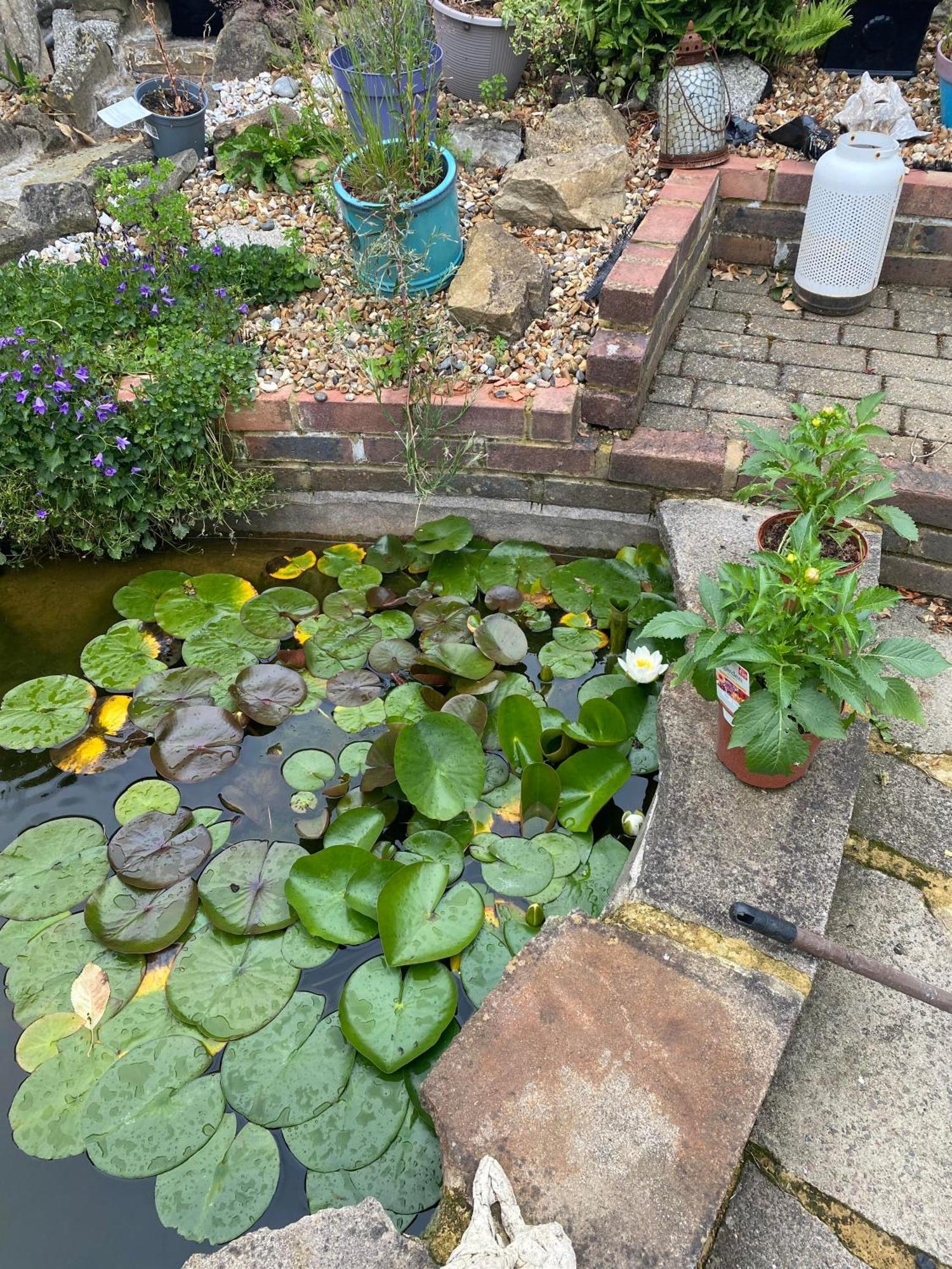 Pond Cottage Purley Dış mekan fotoğraf
